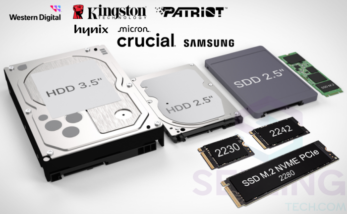 SSD SATA LEXAR NS100 512 GB